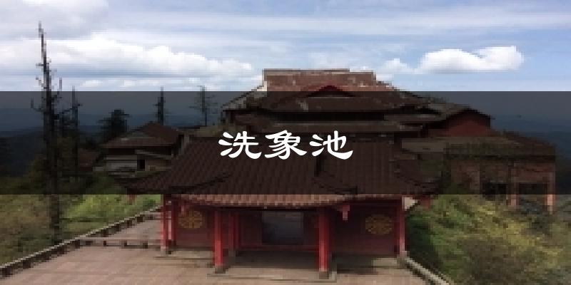 洗象池天气预报十五天