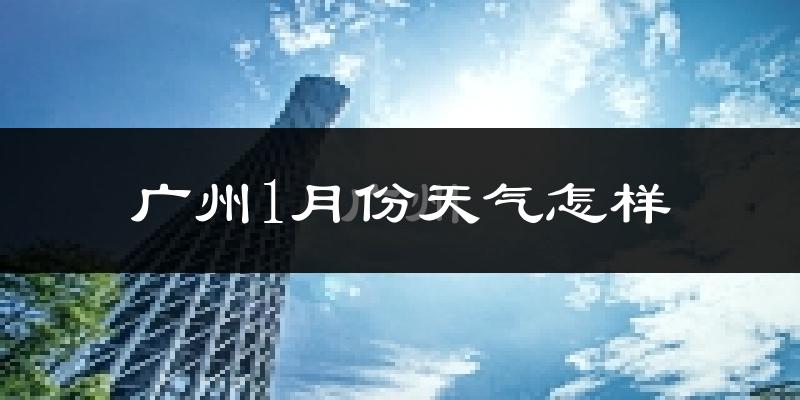 广州1月份天气如何?很冷吗?