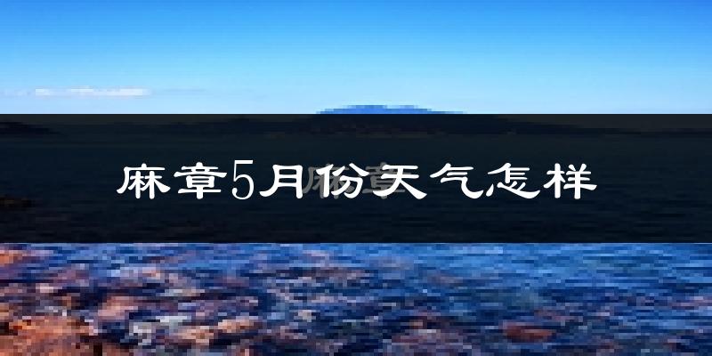 麻章5月份天气怎样?麻章五月冷吗?