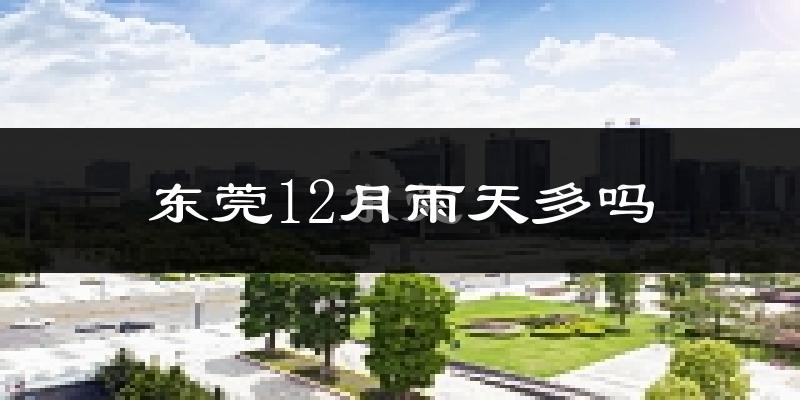 东莞12月雨天多吗?
