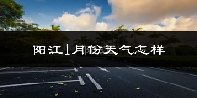 阳江1月份天气如何?冷吗?过去两年天气数据分析