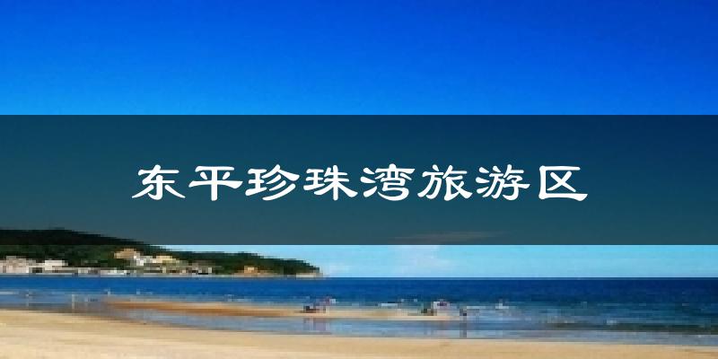 东平珍珠湾旅游区天气预报十五天