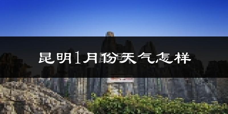 昆明市1月份天气如何?冷吗?