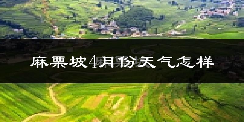 麻栗坡县4月份天气如何?天气冷热情况分析