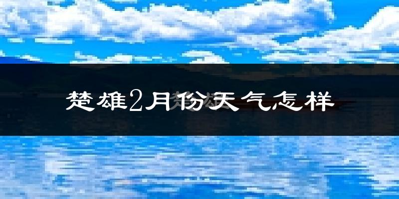 楚雄市2月份天气如何?天气冷吗?