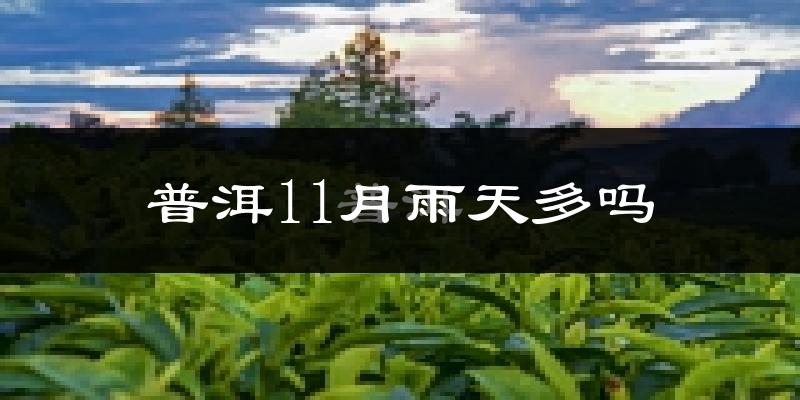 普洱11月雨天多吗?