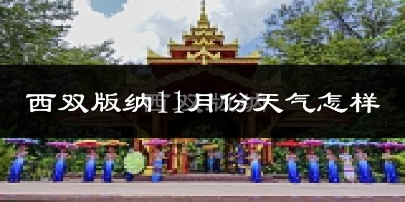 西双版纳11月份天气怎样?西双版纳十一月冷不冷?