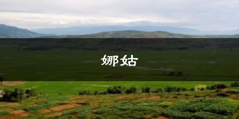 娜姑天气预报十五天