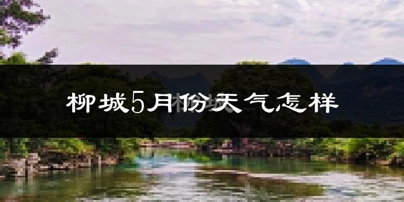 柳城县5月份天气如何?很热吗?