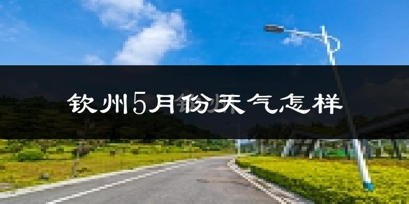 钦州5月份天气如何?很热吗?