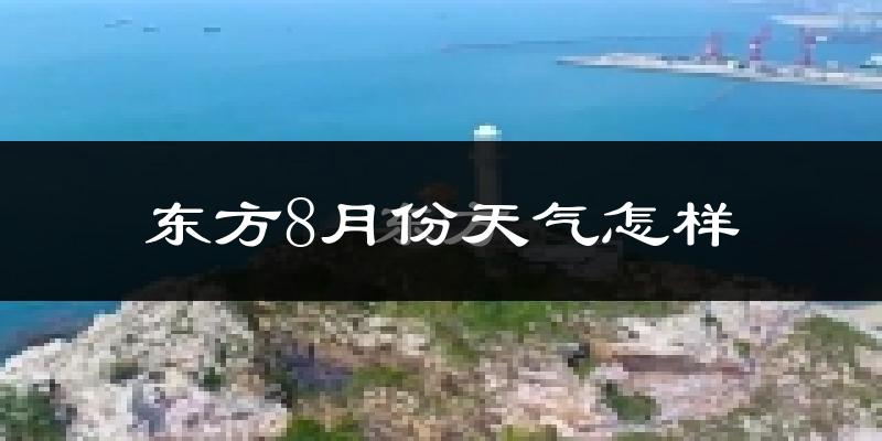 东方市8月份天气如何?很热吗?