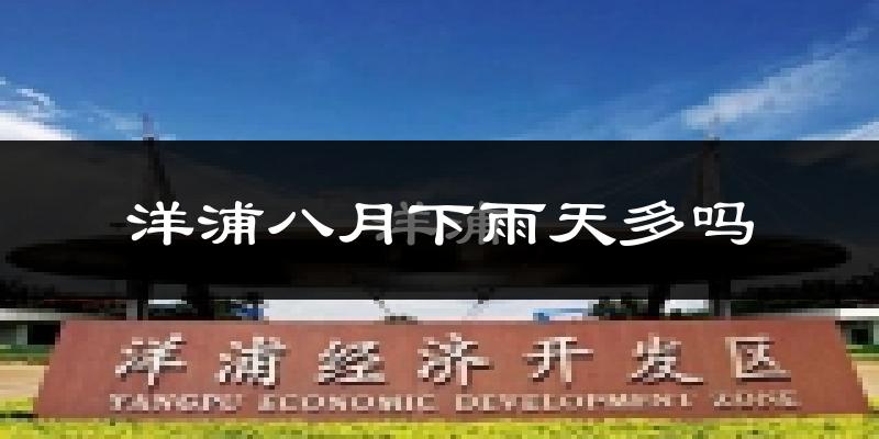 洋浦八月下雨天多吗?洋浦8月份降雨量多少?