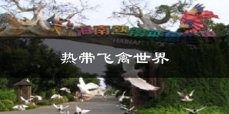 热带飞禽世界天气预报十五天