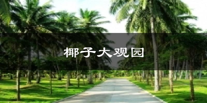 椰子大观园天气预报十五天