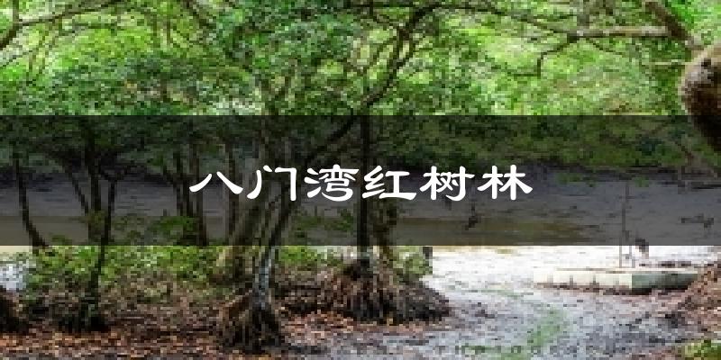八门湾红树林天气预报十五天